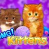 OMG Kittens Slot by WMS