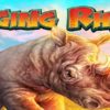 Raging Rhino Slot WMS